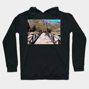 bigfoot bridge crossing Hoodie